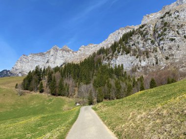 Walensee Gölü, Walenstadtberg - İsviçre 'nin St. Gallen Kantonu (Schweiz)