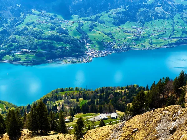 Jezioro Walensee Pomiędzy Pasmami Górskimi Doliny Churfirsten Seeztal Walenstadtberg Kanton — Zdjęcie stockowe