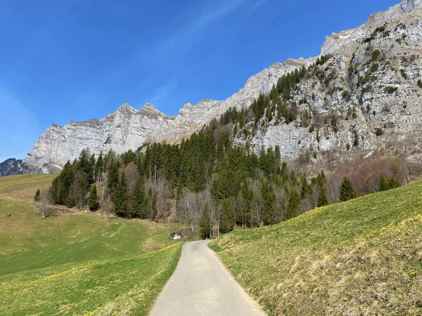 瑞士圣加仑州瓦伦施塔特贝格州瓦伦西湖畔丘尔菲斯顿山脉斜坡上的步行 运动和娱乐小径 施韦兹 — 图库照片