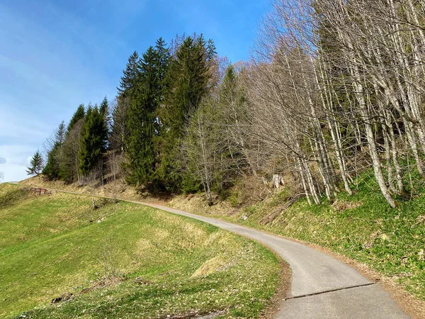 Stezky Pro Pěší Turistiku Sport Rekreaci Svazích Pohoří Churfirsten Nad — Stock fotografie