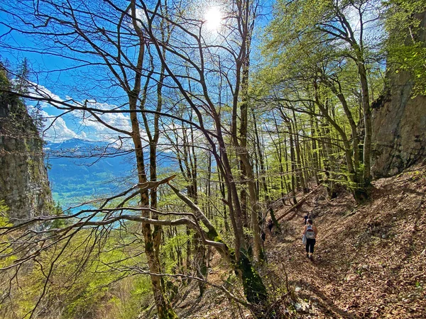 Trails for walking, hiking, sports and recreation on the slopes of the Churfirsten mountain range and over lake Walensee, Walenstadtberg - Canton of St. Gallen, Switzerland (Schweiz)