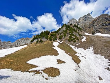 Bahar mevsiminin başlarında, Seeztal subalpine vadisinde kar ve kışın son kalıntılarıyla Walenstadtberg - St. Gallen Kantonu, İsviçre (Kanton St. Gallen, Schweiz)