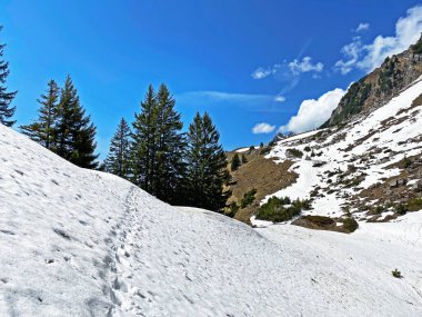 Bahar mevsiminin başlarında, Seeztal subalpine vadisinde kar ve kışın son kalıntılarıyla Walenstadtberg - St. Gallen Kantonu, İsviçre (Kanton St. Gallen, Schweiz)