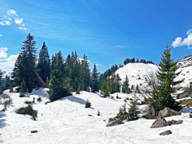 Bahar mevsiminin başlarında, Seeztal subalpine vadisinde kar ve kışın son kalıntılarıyla Walenstadtberg - St. Gallen Kantonu, İsviçre (Kanton St. Gallen, Schweiz)