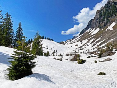 Bahar mevsiminin başlarında, Seeztal subalpine vadisinde kar ve kışın son kalıntılarıyla Walenstadtberg - St. Gallen Kantonu, İsviçre (Kanton St. Gallen, Schweiz)