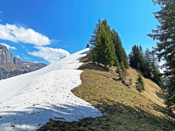 Vroege Voorjaarssfeer Met Laatste Overblijfselen Van Winter Sneeuw Het Seeztal — Stockfoto