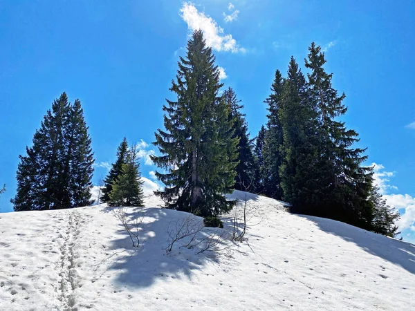 Atmósfera Primavera Temprana Con Los Últimos Restos Invierno Nieve Valle — Foto de Stock