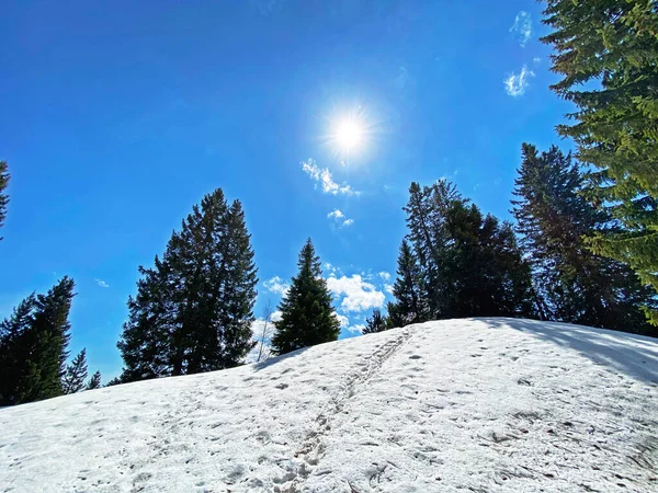 Início Primavera Atmosfera Com Últimos Vestígios Inverno Neve Vale Subalpino — Fotografia de Stock