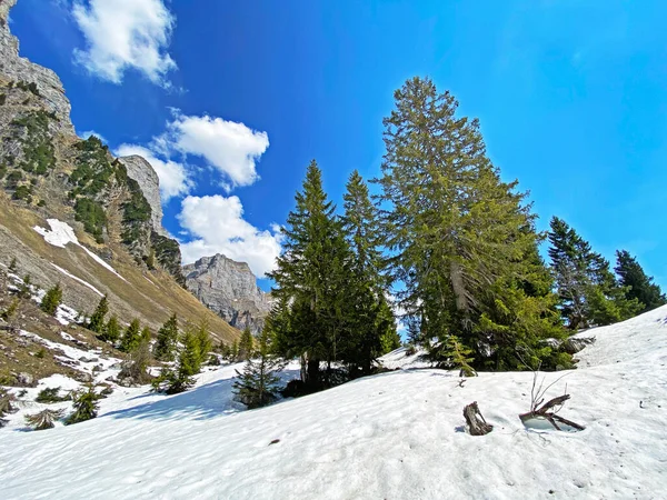 Vorfrühlingsatmosphäre Mit Den Letzten Resten Von Winter Und Schnee Seeztal — Stockfoto