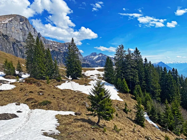 Early Spring Atmosphere Last Remnants Winter Snow Seeztal Subalpine Valley — Stock Photo, Image