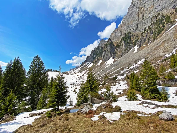 Early Spring Atmosphere Last Remnants Winter Snow Seeztal Subalpine Valley — Stock Photo, Image