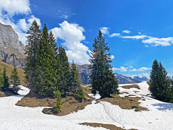 Vroege Voorjaarssfeer Met Laatste Overblijfselen Van Winter Sneeuw Het Seeztal — Stockfoto
