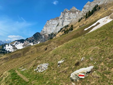 Churfirsten dağ sırasının yamaçlarında ve Walensee Gölü, Walenstadtberg - İsviçre 'nin St. Gallen Kantonu (Schweiz)