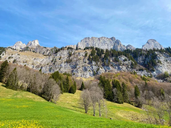 位于瑞士圣加仑州Obertoggenburg地区和Walensee湖之间的Churfirsten山脉的阿尔卑斯山峰Fruemsel或Frumsel和Brisi Schweiz — 图库照片