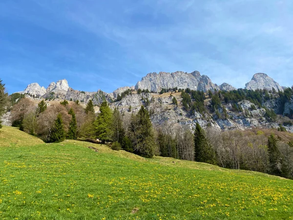 Obertoggenburg Bölgesi Ile Walensee Gölü Arasındaki Churfirsten Sıradağlarındaki Fruemsel Veya — Stok fotoğraf