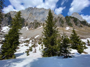 Obertoggenburg bölgesi ile Walensee Gölü arasındaki Churfirsten sıradağlarında bulunan Brisi ve Zuestoll tepeleri (Kanton St. Gallen, Schweiz)