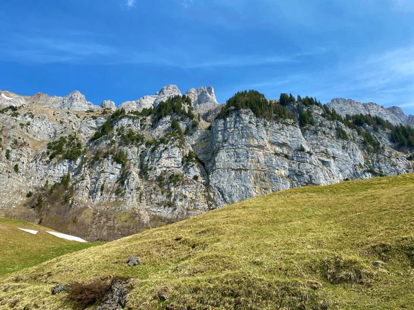 位于瑞士圣加仑州瓦伦施塔特贝格州Obertoggenburg地区和Walensee湖之间的Churfirsten山脉的阿尔卑斯山峰Fruemsel或Frumsel 施韦兹 — 图库照片