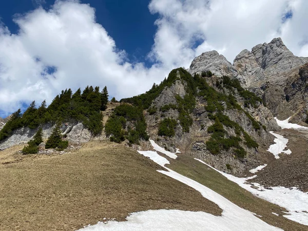 Alpine Peak Fruemsel Frumsel Cordilheira Churfirsten Entre Região Obertoggenburg Lago — Fotografia de Stock