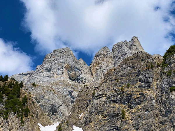 チュルファーレン山脈のアルパイン ピーク フルームセルまたはフルムセル オーバートッゲンブルク地域とヴァレンゼー湖の間 ヴァレンシュタットベルク スイス セントガレン州 スイス のカントン — ストック写真