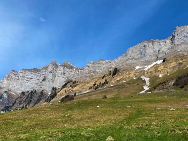 Alp tepeleri Naegeliberg ya da Nageliberg, Schaeren ya da Scharen, Wart ve Selun Churfirsten sıradağlarında, Walenstadtberg - St. Gallen, İsviçre (Kanton St. Gallen, Schweiz)
