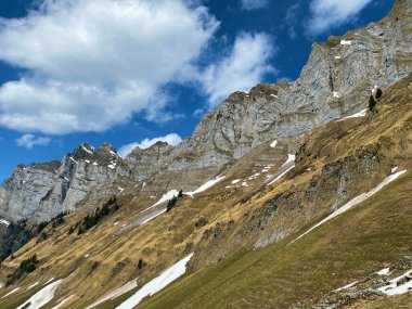 Alp tepeleri Naegeliberg ya da Nageliberg, Schaeren ya da Scharen, Wart ve Selun Churfirsten sıradağlarında, Walenstadtberg - St. Gallen, İsviçre (Kanton St. Gallen, Schweiz)