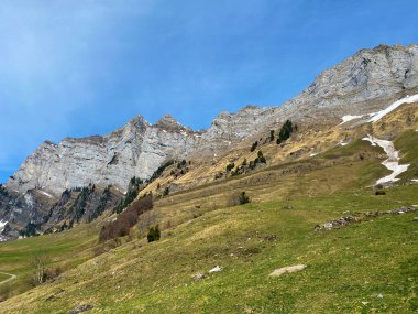 Alp tepeleri Naegeliberg ya da Nageliberg, Schaeren ya da Scharen, Wart ve Selun Churfirsten sıradağlarında, Walenstadtberg - St. Gallen, İsviçre (Kanton St. Gallen, Schweiz)