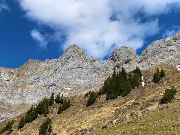 Pico Alpino Selun Cordilheira Churfirsten Entre Região Obertoggenburg Lago Walensee — Fotografia de Stock