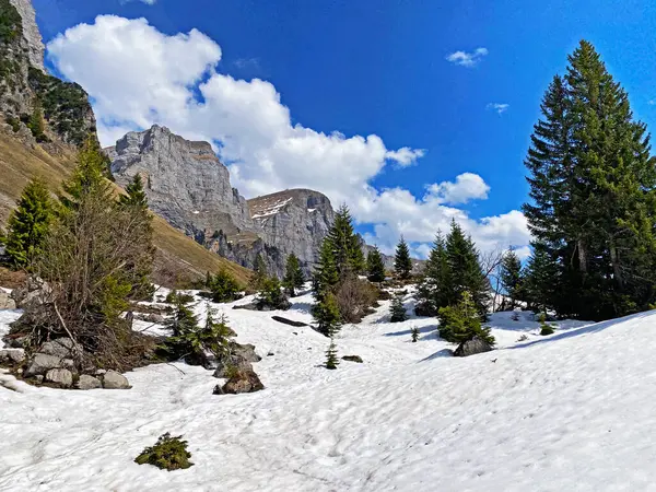 Alpesi Csúcsok Schibenstoll Hinterrugg Hinderrugg Churfirsten Hegyvonulatban Obertoggenburg Régió Walensee — Stock Fotó