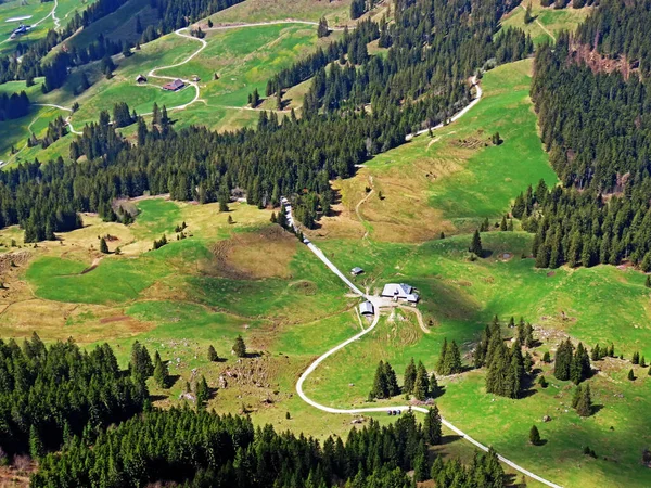 ピラタス山脈の斜面や山岳地帯の高山の牧草地や草原 アルパチ オバルデンのカントン スイス カントンObwalden スイス — ストック写真