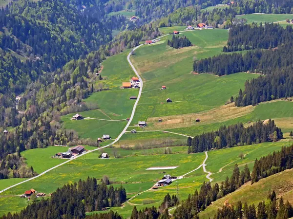 Alpages Prairies Alpines Sur Les Pentes Massif Pilatus Dans Les — Photo