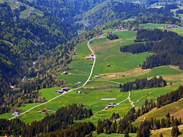 Alpejskie Pastwiska Użytki Zielone Zboczach Masywu Pilatus Dolinach Alpejskich Podnóża — Zdjęcie stockowe