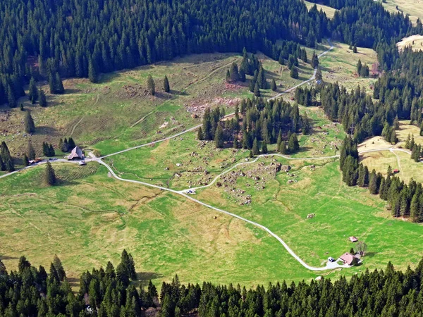 Alpages Prairies Alpines Sur Les Pentes Massif Pilatus Dans Les — Photo