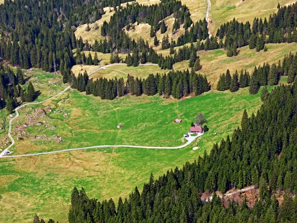 Alpské Pastviny Pastviny Svazích Masivu Pilatus Alpských Údolích Úpatí Hory — Stock fotografie