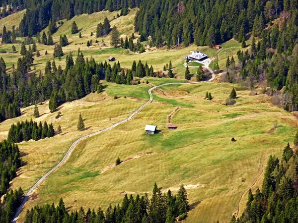 ピラタス山脈の斜面や山岳地帯の高山の牧草地や草原 アルパチ オバルデンのカントン スイス カントンObwalden スイス — ストック写真