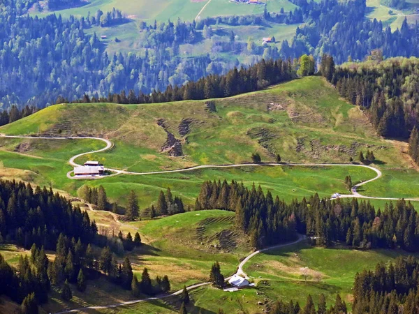 Pastagens Prados Alpinos Nas Encostas Maciço Pilatus Nos Vales Alpinos — Fotografia de Stock