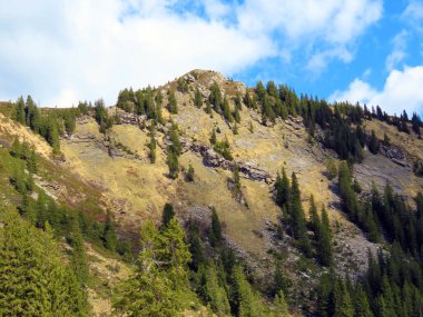 İsviçre 'nin Pilatus sıradağlarında Hengst' in Alpnach, Obwalden Kantonu 'nda (Kanton Obwalden, Schweiz)