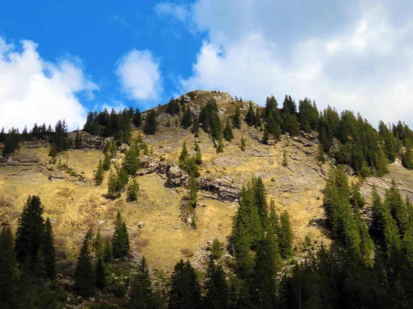 Αλπική Κορυφή Του Hengst Στην Ελβετική Οροσειρά Pilatus Και Στις — Φωτογραφία Αρχείου
