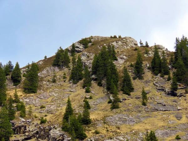 Alpský Vrchol Hengstu Švýcarském Pohoří Pilatus Pohoří Emmental Alps Alpnach — Stock fotografie