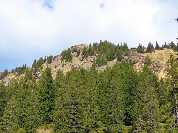 Hengst Hegycsúcsa Svájci Pilatus Hegyláncban Emmental Alpokban Alpnach Obwalden Kanton — Stock Fotó