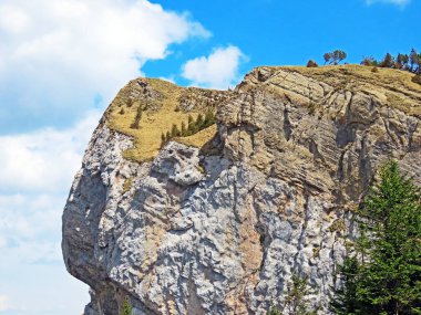 İsviçre 'nin Pilatus sıradağlarında Blaue Attse' nin Alpnach, Obwalden Kantonu (Kanton Obwalden, Schweiz)