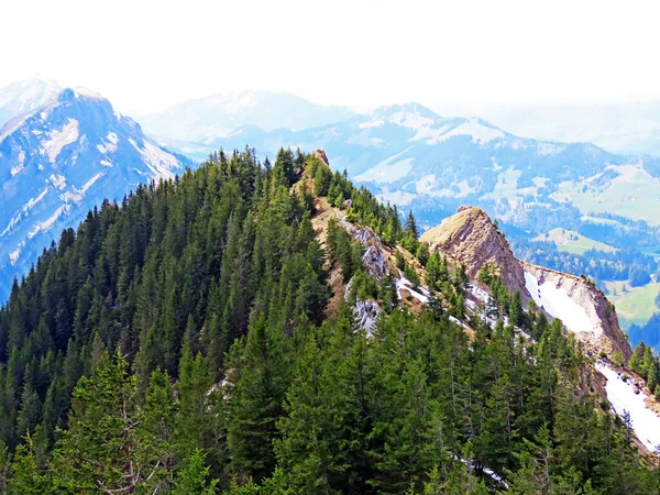 Szczyt Alpejski Risetestock Szwajcarskim Paśmie Górskim Pilatus Alpach Emmentalnych Alpnach — Zdjęcie stockowe