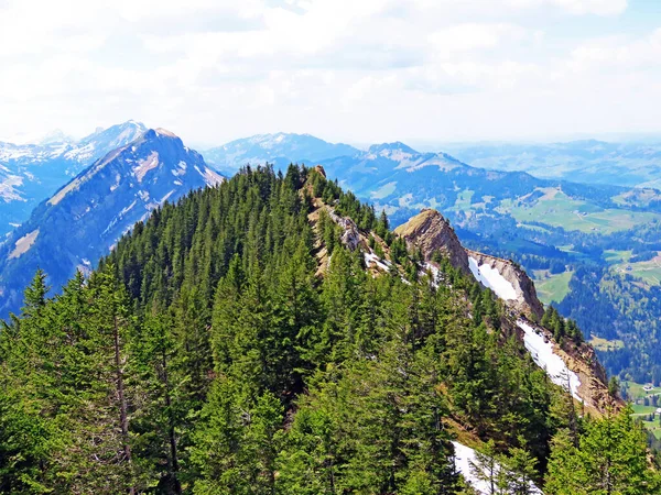 Alpine Peak Risetestock Swiss Mountain Range Pilatus Emmental Alps Alpnach — Fotografia de Stock