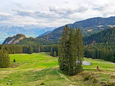 Pilatus 'un yamaçlarında ve dağın eteğindeki dağlık vadilerde, Alpnach - Obwalden Kantonu, İsviçre (Kanton Obwalden)
