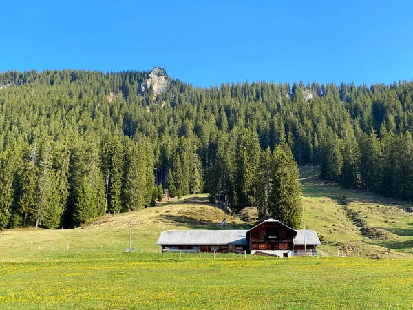 Traditionele Landelijke Architectuur Familieveehouderijen Hellingen Van Het Pilatus Bergmassief Alpnach — Stockfoto