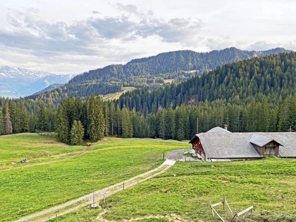 전통적 농장은 필라투스 프나흐 스위스 Kanton Obwalden Schweiz 비탈에 자리잡고 — 스톡 사진