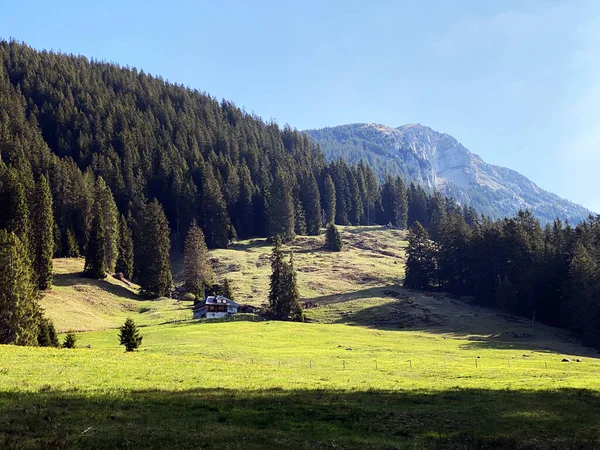 Alpine Pastures Grasslands Slopes Pilatus Massif Alpine Valleys Foot Mountain — стоковое фото