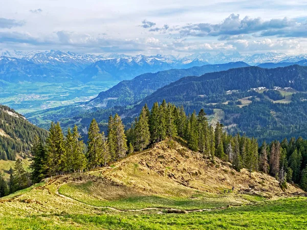 Pastagens Prados Alpinos Nas Encostas Maciço Pilatus Nos Vales Alpinos — Fotografia de Stock