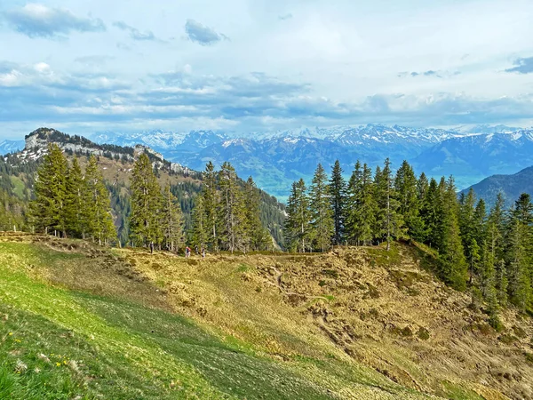 Alpenweiden Graslanden Hellingen Van Het Pilatus Massief Alpendalen Aan Voet — Stockfoto