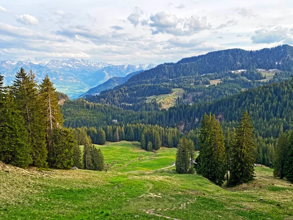 Pilatus Yamaçlarında Dağın Eteğindeki Dağlık Vadilerde Alpnach Obwalden Kantonu Sviçre — Stok fotoğraf
