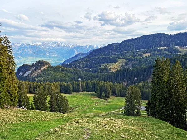 Pastagens Prados Alpinos Nas Encostas Maciço Pilatus Nos Vales Alpinos — Fotografia de Stock